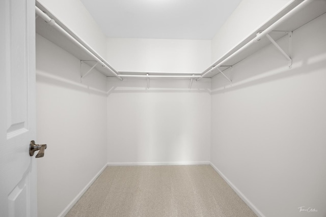6730 Revere Rd, Downers Grove, IL 60516 - spacious closet with carpet floors