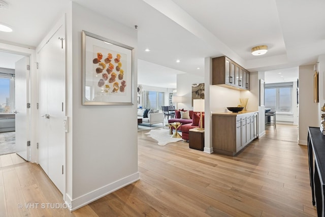 132 E Delaware Pl Unit 5101, Chicago, IL 60611 - hall featuring plenty of natural light and light wood-type flooring