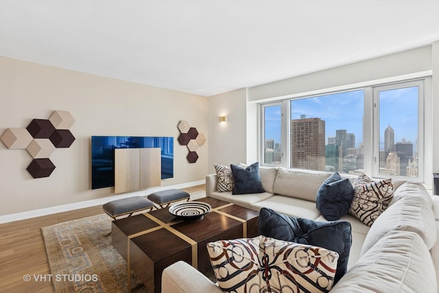 132 E Delaware Pl Unit 5101, Chicago, IL 60611 - living area featuring wood finished floors and a skyline view