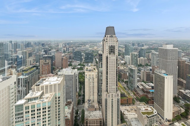 132 E Delaware Pl Unit 5101, Chicago, IL 60611 - view of city