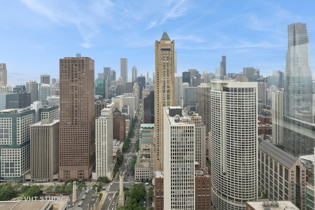 132 E Delaware Pl Unit 5101, Chicago, IL 60611 - skyline view