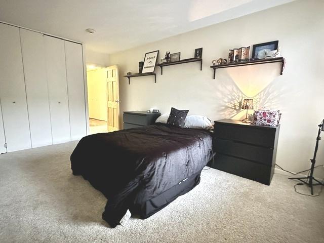 430 Walnut Ave Unit 2308, Lisle, IL 60532 - carpeted bedroom with a closet