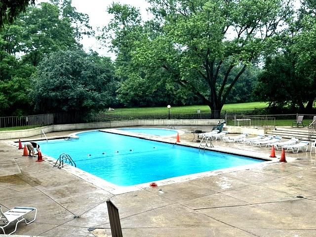 430 Walnut Ave Unit 2308, Lisle, IL 60532 - community pool with a patio area and view of scattered trees