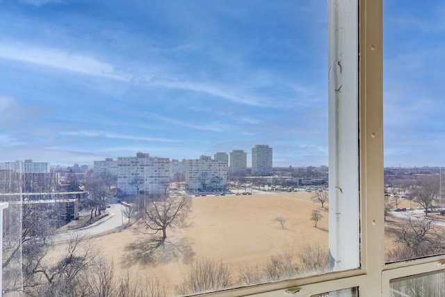 601 E 32nd St Unit 907, Chicago, IL 60616 - view of city