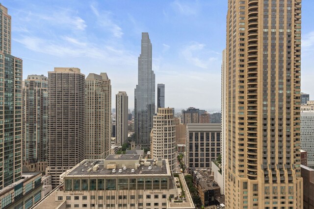 777 N Michigan Ave Unit 1407, Chicago, IL 60611 - photo 14