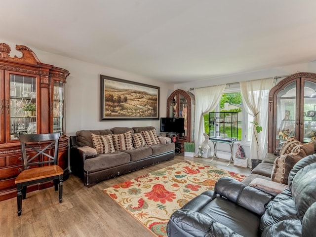 721 Lacy Ave, Streamwood, IL 60107 - living room featuring wood finished floors