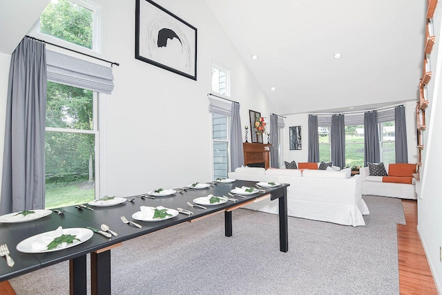3 Laurel Ct, Galena, IL 61036 - office space with wood finished floors, a towering ceiling, and recessed lighting