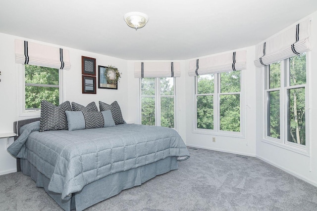 3 Laurel Ct, Galena, IL 61036 - bedroom featuring carpet flooring