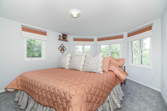 3 Laurel Ct, Galena, IL 61036 - bedroom with carpet flooring