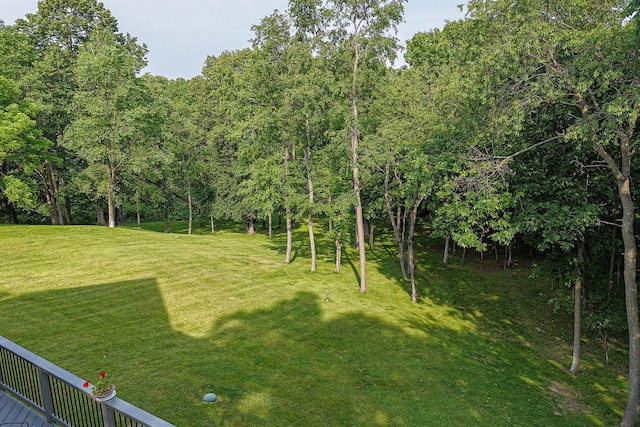 3 Laurel Ct, Galena, IL 61036 - view of green lawn