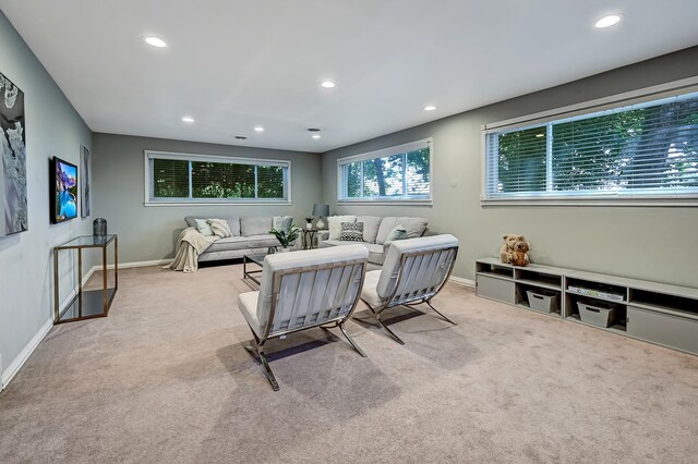 545 Highland Rd, Hinsdale, IL 60521 - photo 20