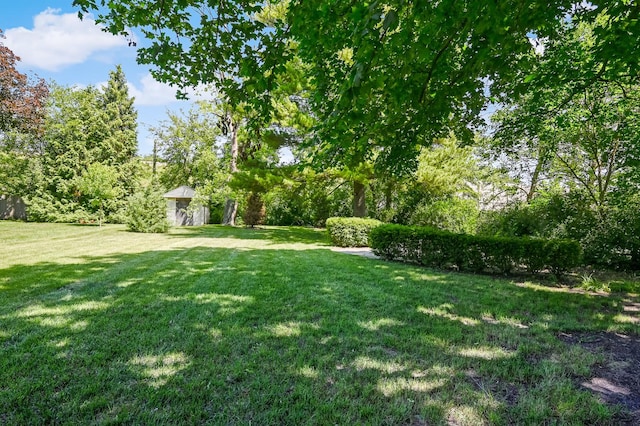 545 Highland Rd, Hinsdale, IL 60521 - photo 28
