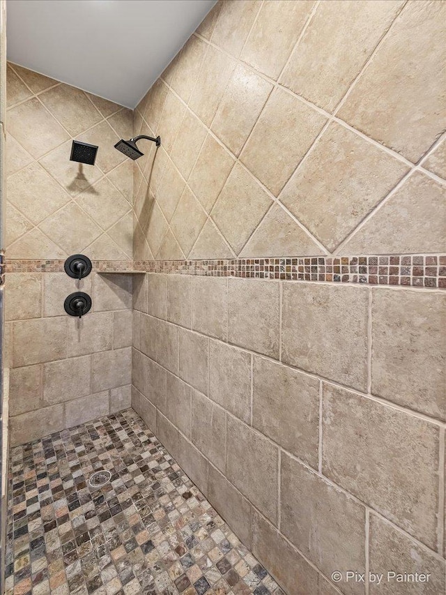 8980 Bardwell Ln, Lakewood, IL 60014 - bathroom with tiled shower