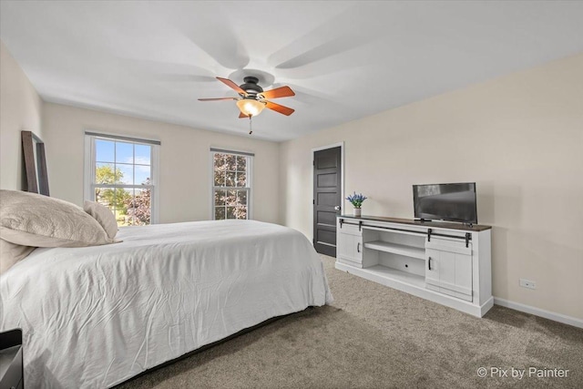 8980 Bardwell Ln, Lakewood, IL 60014 - carpeted bedroom with baseboards and ceiling fan