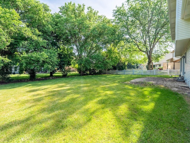 2207 Irvine Ln, Plainfield, IL 60586 - view of yard