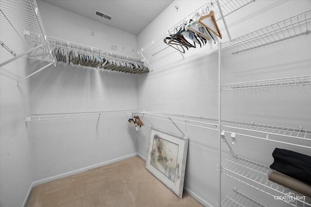 13611 Hemlock Rd, Huntley, IL 60142 - walk in closet with carpet