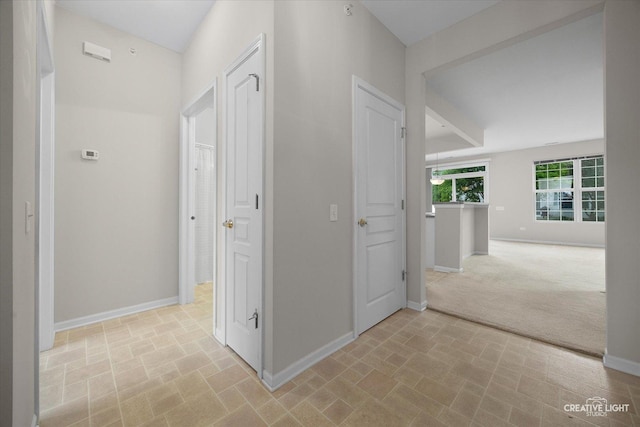 13611 Hemlock Rd, Huntley, IL 60142 - hallway featuring baseboards and light colored carpet