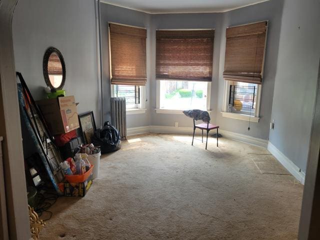 7125 S Cornell Ave, Chicago, IL 60649 - photo 5