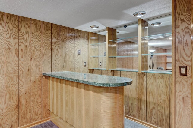 9810 N Lauren Ln, Niles, IL 60714 - indoor bar with a textured ceiling, wooden walls, and wood finished floors