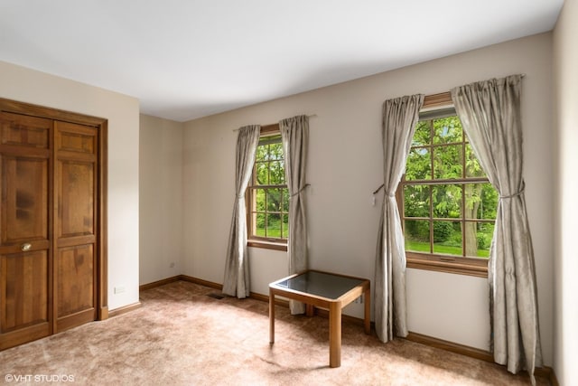 1165 Carberry Cir, Inverness, IL 60067 - bedroom with light carpet and baseboards