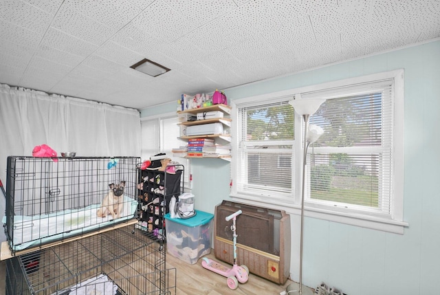4624 W Montana St, Chicago, IL 60639 - view of storage area