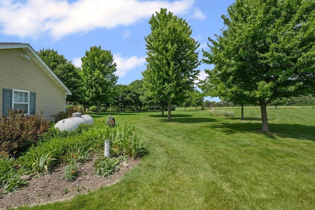 2598B County Road 600 E, Dewey, IL 61840 - view of grassy yard