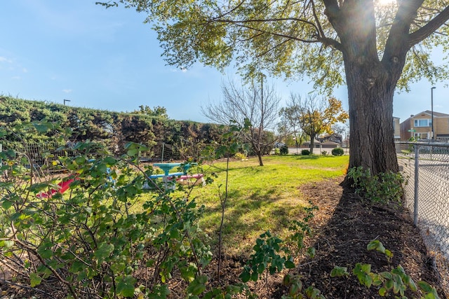 7318 W Archer Ave, Summit, IL 60501 - view of yard