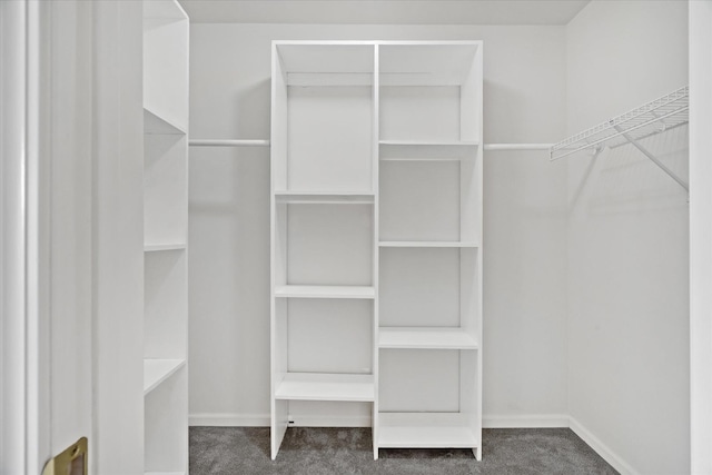 13261 Forest Ridge Dr Unit 0, Palos Heights, IL 60463 - spacious closet with carpet floors