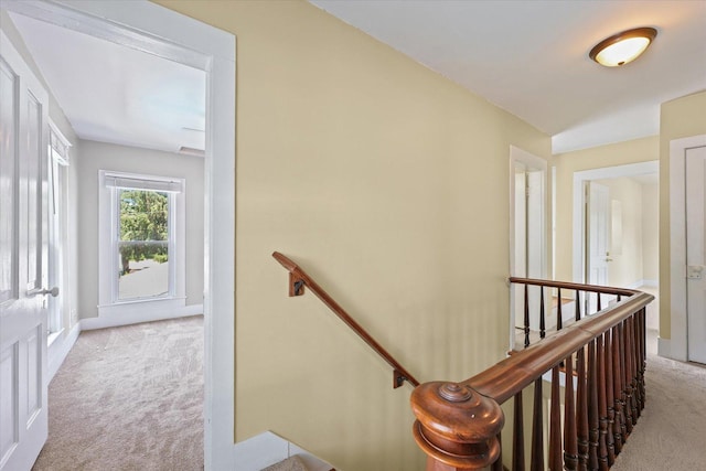 835 E Pells St, Paxton, IL 60957 - hall with an upstairs landing and light colored carpet