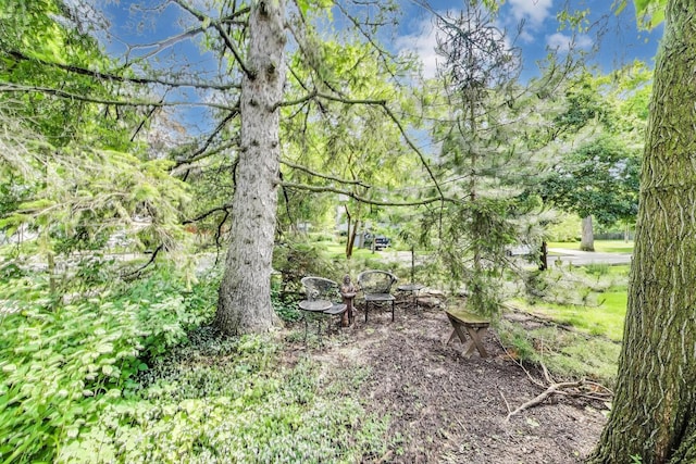 653 Blackstone Pl, Highland Park, IL 60035 - view of nature