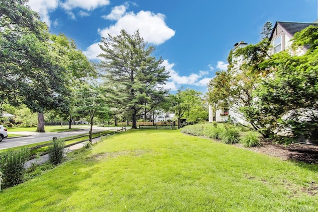 653 Blackstone Pl, Highland Park, IL 60035 - view of grassy yard