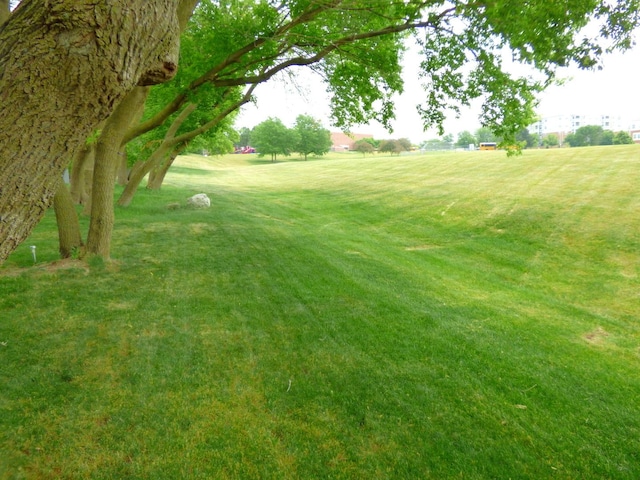 432 Thunder Rdg, Lake In The Hills, IL 60156 - view of grassy yard