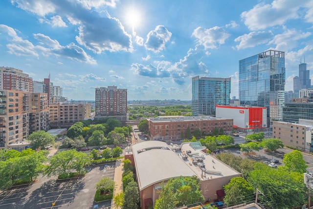 1464 S Michigan Ave Unit 1108, Chicago, IL 60605 - view of city