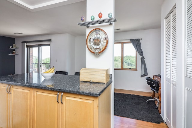 7904 W N Ave Unit 605E, Elmwood Park, IL 60707 - kitchen featuring wood finished floors, healthy amount of natural light, and dark stone countertops