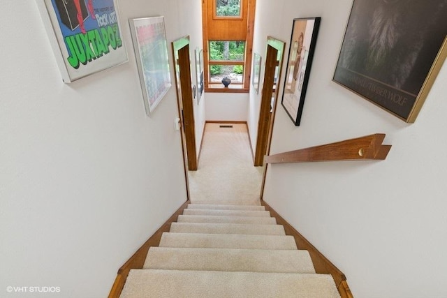 41W955 Northway Dr, Elburn, IL 60119 - stairs featuring baseboards