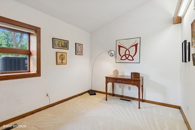 41W955 Northway Dr, Elburn, IL 60119 - interior space with vaulted ceiling and cooling unit