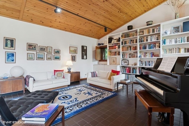 41W955 Northway Dr, Elburn, IL 60119 - living area featuring wooden ceiling and high vaulted ceiling