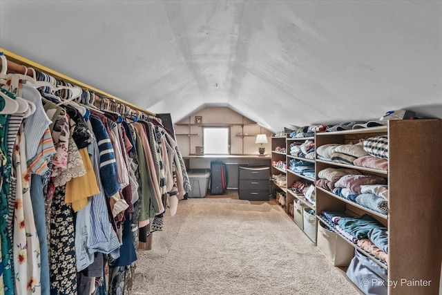 8920 Mcvicker Ave, Morton Grove, IL 60053 - walk in closet with vaulted ceiling and carpet flooring