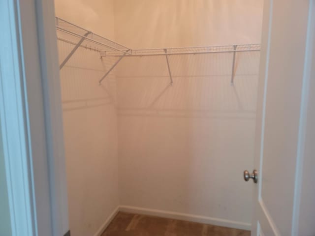 3144 Taunton St Unit 3144, Elgin, IL 60124 - view of walk in closet