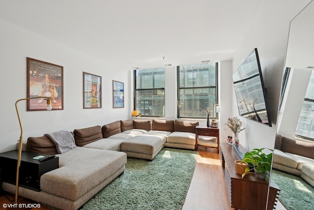 740 S Federal St Unit 1106, Chicago, IL 60605 - living room with wood finished floors
