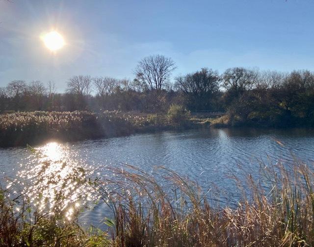 6102 E Hillside Rd, Crystal Lake, IL 60012 - water view with a heavily wooded area