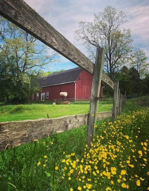 6102 E Hillside Rd, Crystal Lake, IL 60012 - view of grassy yard with a barn and an outbuilding