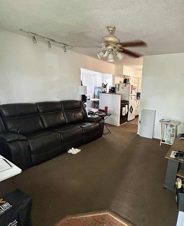 2251 Grandview Ave, Crest Hill, IL 60403 - carpeted living area with ceiling fan, track lighting, and a textured ceiling