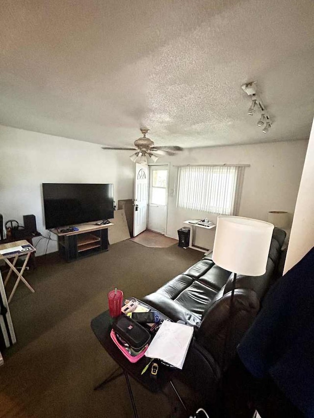 2251 Grandview Ave, Crest Hill, IL 60403 - carpeted living room featuring ceiling fan and a textured ceiling