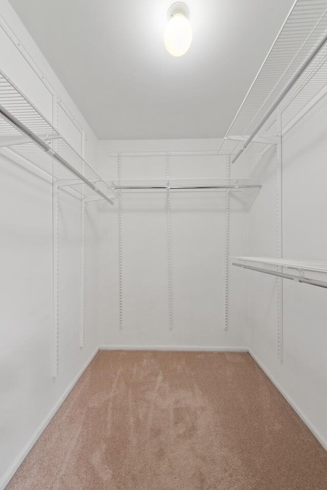 2S570 Patrick Henry Sq Unit 119, Oak Brook, IL 60523 - spacious closet with light colored carpet
