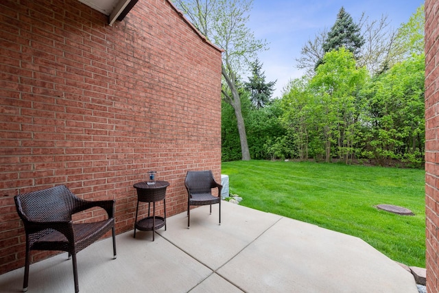 2S570 Patrick Henry Sq Unit 119, Oak Brook, IL 60523 - view of patio / terrace