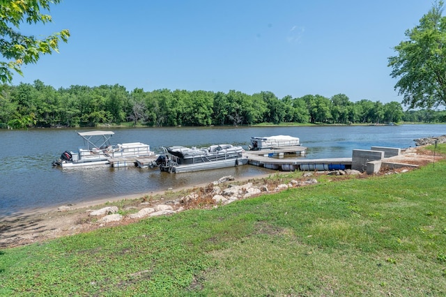 1715 W River St Unit 1715, Dixon, IL 61021 - dock area with a water view, a yard, and a forest view