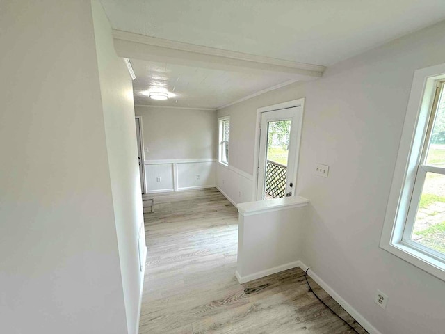 1356 Willard Ave, Rockford, IL 61101 - hallway featuring healthy amount of natural light, light wood-style flooring, beam ceiling, and a wainscoted wall