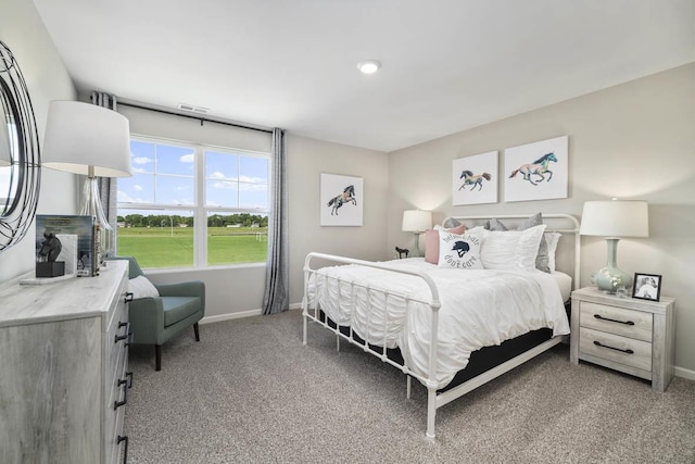 15103 W Oxford Ln, Manhattan, IL 60442 - bedroom featuring baseboards and light carpet