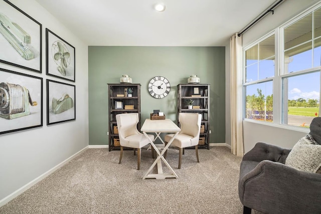 15103 W Oxford Ln, Manhattan, IL 60442 - carpeted home office featuring plenty of natural light